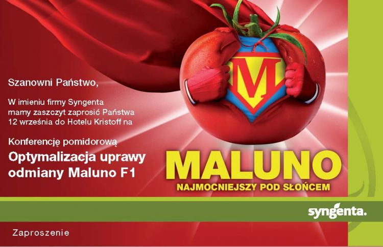 Konferencja pomidorowa - Optymalizacja uprawy Maluno F1